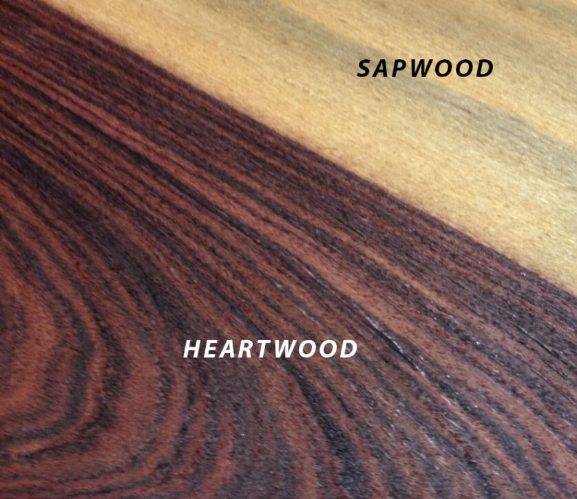 Heartwood - rosewood